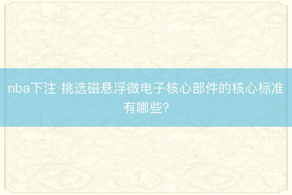 nba下注 挑选磁悬浮微电子核心部件的核心标准有哪些？