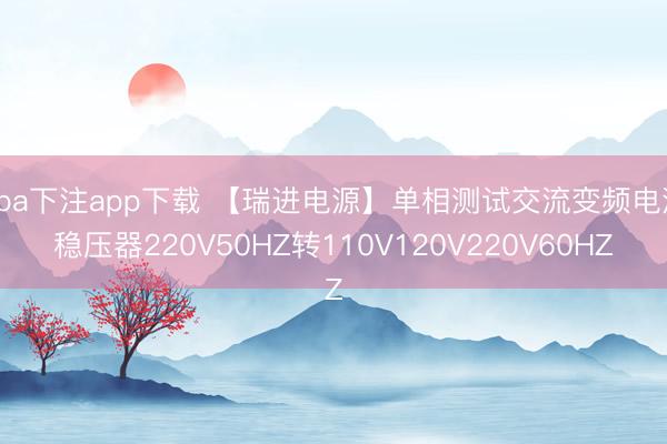 nba下注app下载 【瑞进电源】单相测试交流变频电源稳压器220V50HZ转110V120V220V60HZ