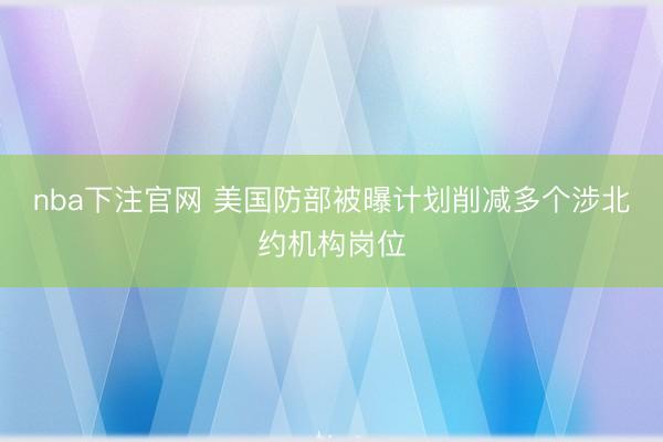 nba下注官网 美国防部被曝计划削减多个涉北约机构岗位