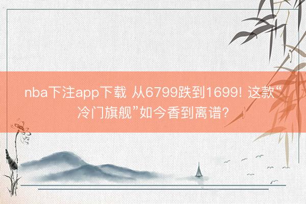 nba下注app下载 从6799跌到1699! 这款“冷门旗舰”如今香到离谱?