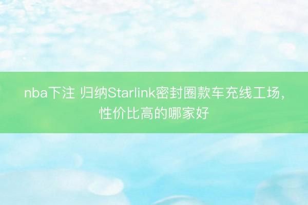 nba下注 归纳Starlink密封圈款车充线工场,性价比高的哪家好