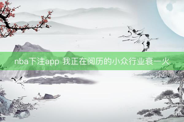 nba下注app 我正在阅历的小众行业衰一火