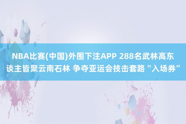 NBA比赛(中国)外围下注APP 288名武林高东谈主皆聚云南石林 争夺亚运会技击套路“入场券”
