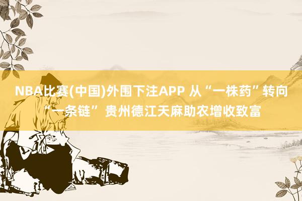 NBA比赛(中国)外围下注APP 从“一株药”转向“一条链” 贵州德江天麻助农增收致富