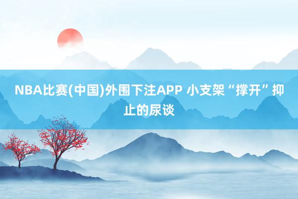 NBA比赛(中国)外围下注APP 小支架“撑开”抑止的尿谈