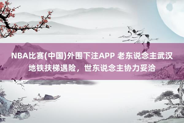 NBA比赛(中国)外围下注APP 老东说念主武汉地铁扶梯遇险，世东说念主协力妥洽