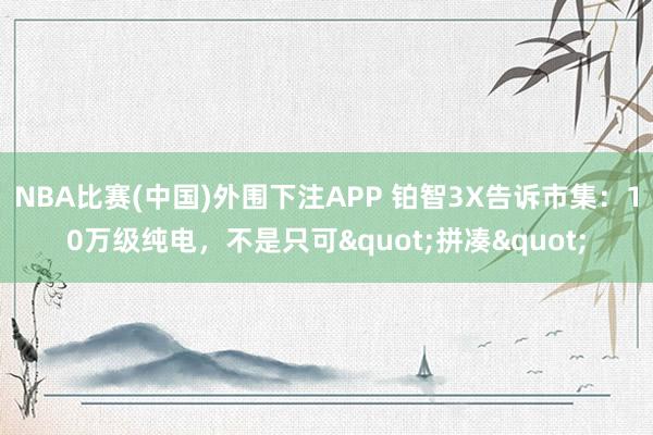 NBA比赛(中国)外围下注APP 铂智3X告诉市集:10万级纯电,不是只可"拼凑"