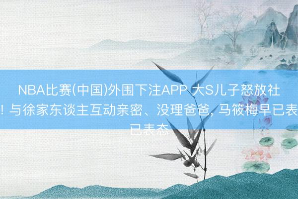 NBA比赛(中国)外围下注APP 大S儿子怒放社媒! 与徐家东谈主互动亲密、没理爸爸, 马筱梅早已表态