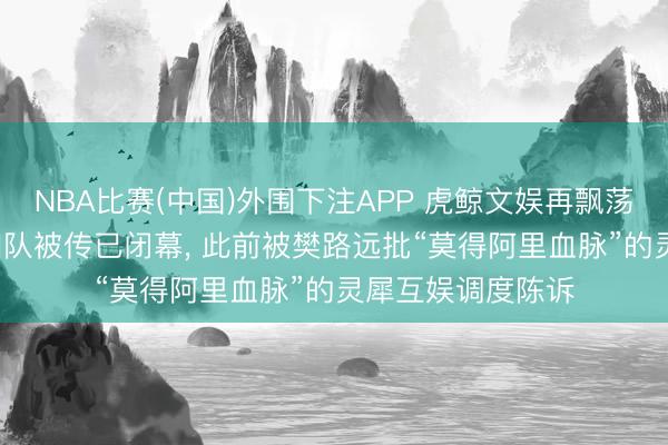 NBA比赛(中国)外围下注APP 虎鲸文娱再飘荡, 旗下妙鸭相机团队被传已闭幕, 此前被樊路远批“莫得阿里血脉”的灵犀互娱调度陈诉