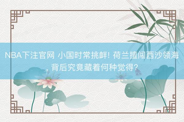 NBA下注官网 小国时常挑衅! 荷兰擅闯西沙领海， 背后究竟藏着何种觉得?