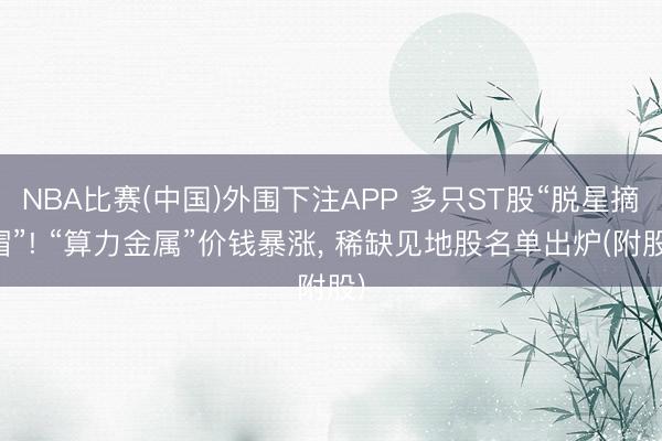NBA比赛(中国)外围下注APP 多只ST股“脱星摘帽”! “算力金属”价钱暴涨， 稀缺见地股名单出炉(附股)