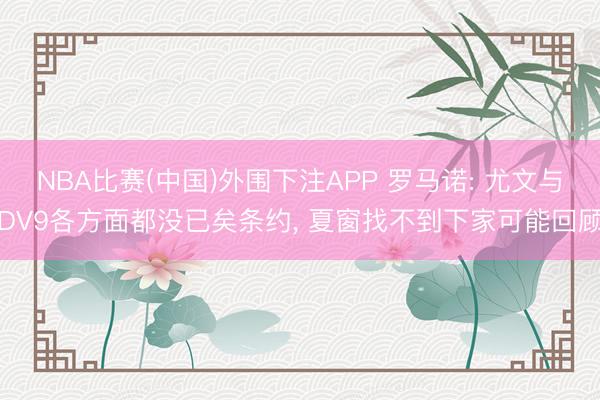 NBA比赛(中国)外围下注APP 罗马诺: 尤文与DV9各方面都没已矣条约， 夏窗找不到下家可能回顾