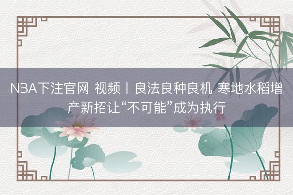 NBA下注官网 视频丨良法良种良机 寒地水稻增产新招让“不可能”成为执行