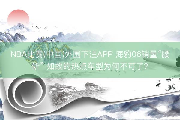 NBA比赛(中国)外围下注APP 海豹06销量“腰斩” 如故的热点车型为何不可了?