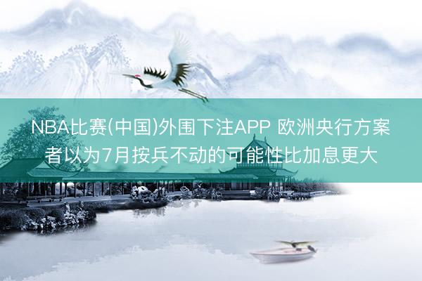 NBA比赛(中国)外围下注APP 欧洲央行方案者以为7月按兵不动的可能性比加息更大