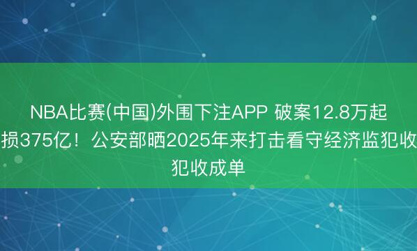 NBA比赛(中国)外围下注APP 破案12.8万起！挽损375亿！公安部晒2025年来打击看守经济监犯收成单