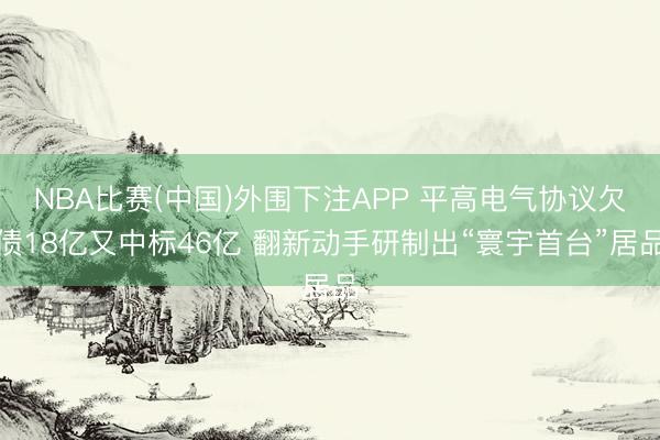 NBA比赛(中国)外围下注APP 平高电气协议欠债18亿又中标46亿 翻新动手研制出“寰宇首台”居品