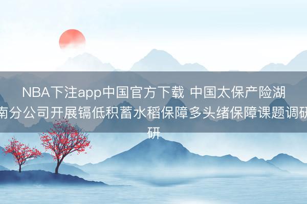 NBA下注app中国官方下载 中国太保产险湖南分公司开展镉低积蓄水稻保障多头绪保障课题调研